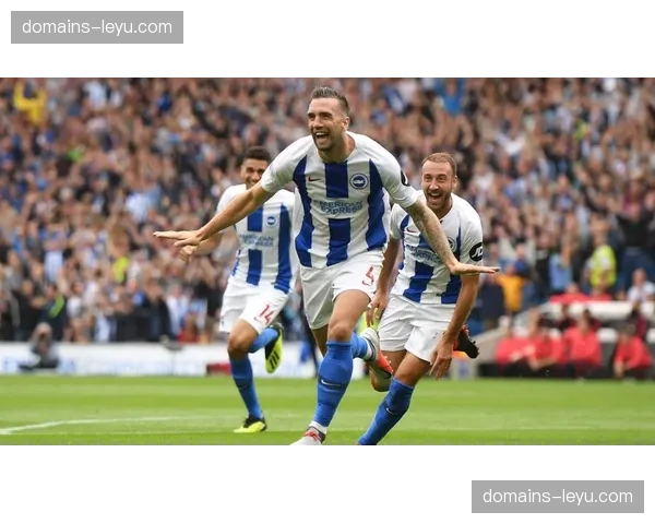 布莱顿防守组织层次清晰 双后腰保护禁区弧顶限制利物浦远射