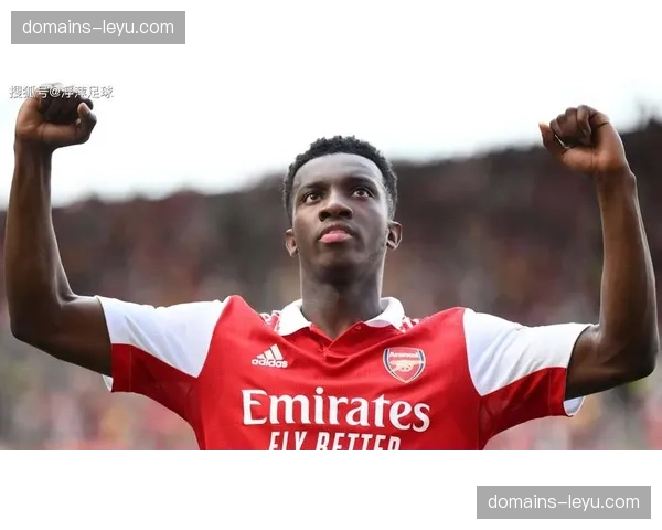 水晶宫进攻核心恩凯蒂亚腿筋拉伤 前场创造力受损